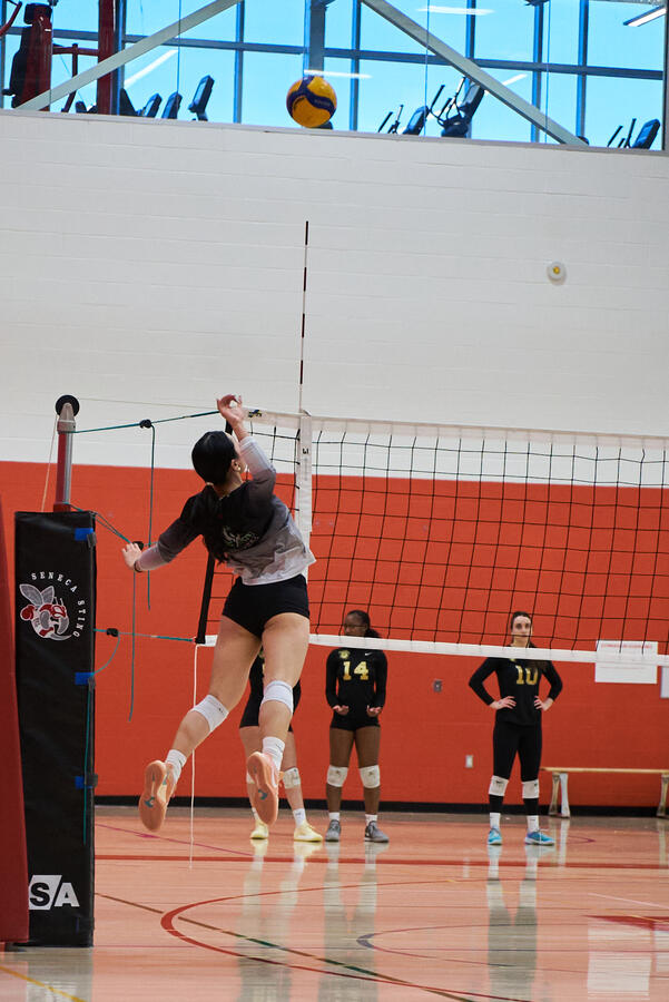 Seneca Sting Tournament, photo 7
