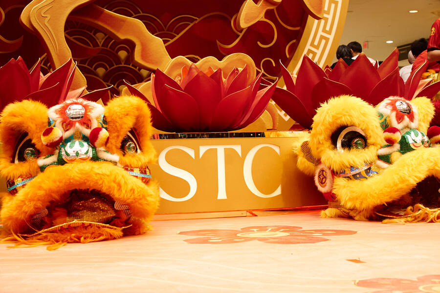 STC Lunar New Year, photo 2